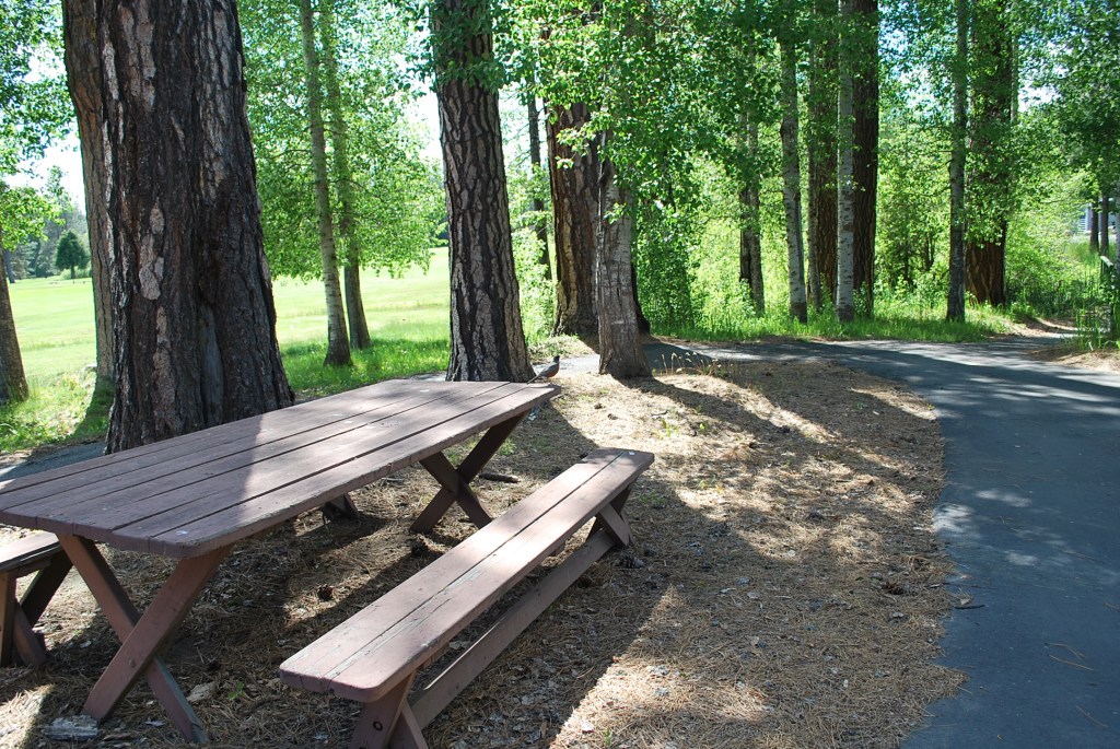 picnic bench